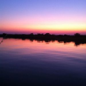 Meet your Posher, Reginald